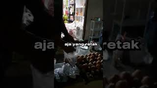Solusi Telur Hemat bentikan?! #shorts #telur