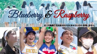 日向坂46四期生(清水理央さんも)の歌を甲子園チア応援風景でMVにしました ブルーベリー＆ラズベリー 月と星が踊るMidnight収録 市立船橋 仙台育英 国学院栃木 高松商 札幌大谷マネージャー