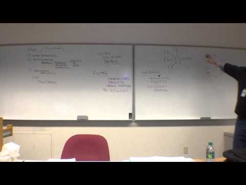 cis121_20120228_2.mov