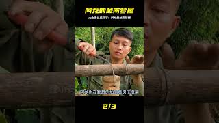 阿龍在越南大山生活，娶了越南老婆，自己動手蓋房子#越南生活 #荒野求生 #荒野独居 #求生挑战 #生存挑战 #荒野