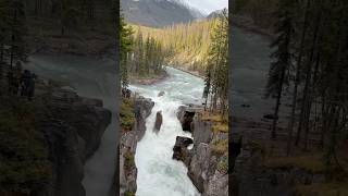 Wild beauty of Jasper and Banff#travelling#travelvlog#canadiantravel#shortclip#viralvideo#travelvlog