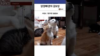 동물들, 성장배경의 중요성