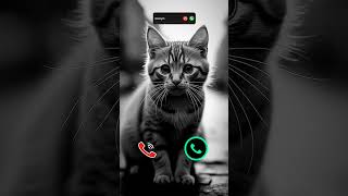 #smartphone #ringtone #tech #call #ringtones #iphone #mobiletech #innovation #unveiling #iphone15