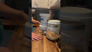 Fresh whole grain flour in seconds! #wholegrain #freshflour #food