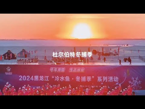 A head fish can sell 2.88 million! Heilongjiang duerbert winter fishing festival is so spectacular