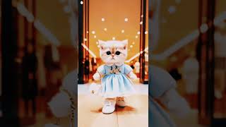 #Ai Cat fashion#stylishcat #cute #shorts #shortsvideo #youtubeshorts