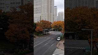 Awesome Autumn #explorejapan #japannature #lifeinjapan #beautifuljapan #autumn