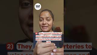 [329] B3.2 [QUIZ] Capillaries by @DrRavinaIN #mostlymed #biology  #shorts #ibdp #2025 #ytshorts