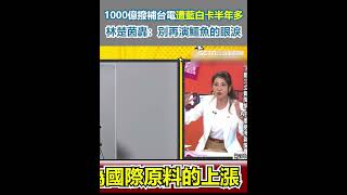 1000億撥補台電遭藍白卡半年多 林楚茵轟：別再演鱷魚的眼淚｜三立新聞網 SETN.com