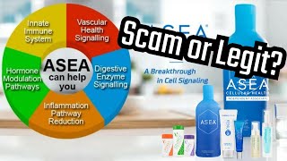 ASEA - Scam or not?