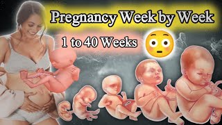 "Pregnancy Week by Week 🍼: Baby's Growth from 1 to 40 Weeks | Ultimate Guide for Moms-to-Be"