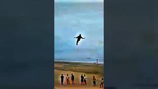 Shorts #YouTubeTips #SEO #ShortsSEO #YouTubeGrowth #trollfaceedit #bigfoot#viralvideo
