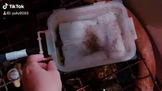 烏龜生態缸到府改裝服務「養魚找地中海水族館（文化店）就對啦」