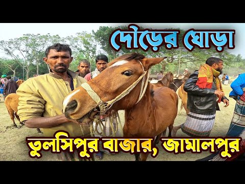 সেরা দৌড়ের ঘোড়া ঐতিহ্যবাহী তোলশিপুর বাজার জামালপুর 2025 #vlog
