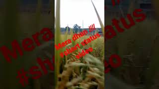 #statuts video  ///short video // video shorts// video statuts