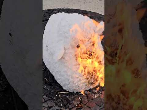 Incinerating a Giant Fluffy Sheep with a Torch