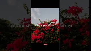 Try With Your Own Voice (JHAANJHARIYA) #lyrics #music #goodmusic #instamusic #youtubemusic #spotify