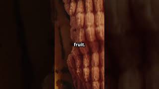 Banana DNA Surprise! | Top Facts