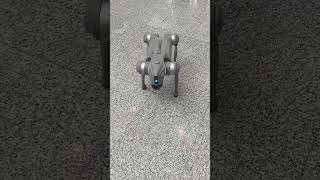 Robot puppy shakes hands & draws a heart