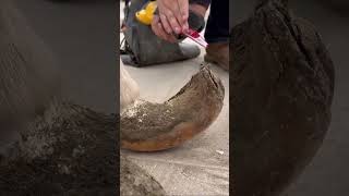 EXTREME NEGLECT #horse #farrierlife #horsecare #farrier