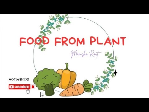 food from plants | food from plants for kids| food that we get from plants