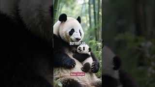 Pandas: Clumsy Yet Unstoppable!