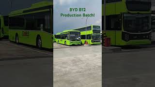 Exploring the BYD B12 production batch of buses! #singapore #publictransport #bus #byd #symphony