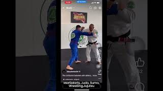 M100 Martial Arts Judo #BuddhistSutras  #LichDTran #lich1299