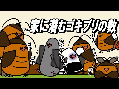 【アニメ】家に潜むゴキブリの数