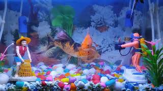 #marpoints #maractivity #makaut .. AQUARIUM IN MY HOME 🐠🐟✨