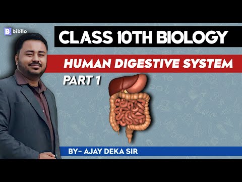 Human Digestive System | Biology | Part-I