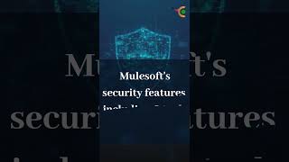 Elevate Your Integration Game with TCI's MuleSoft Best Practices! #tci #MuleSoft #Integration #api