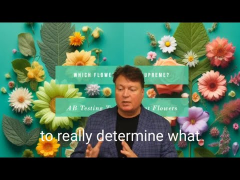 A/B Testing Secrets You Won't Believe