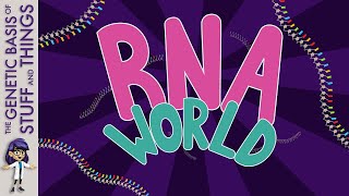RNA world – The origin of life?