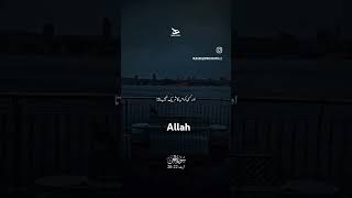 Quran #muslim#qurantranslation