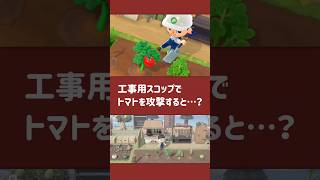 【あつ森】工事用スコップでトマトを攻撃すると…？【小ネタ】