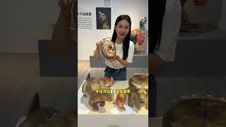 诚毅科技探索中心10周年恐龙展抄底来了 #集美诚毅科技探索中心 #恐龙觉醒