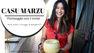 CASU MARZU, formaggio con i vermi - una tradizione sarda