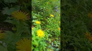 top places to visit in naran #copyright #tech #dnkatech #technology