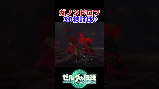 魔王ガノンドロフ！30秒で討伐♪【ゼルダの伝説 ティアキン】#shorts