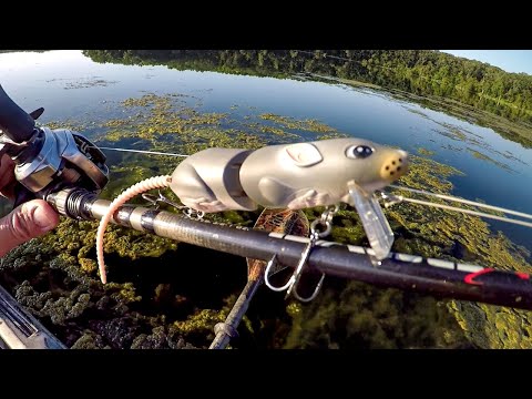 Fishing A Rat Lure For Sunset Bass!