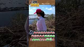 清不完！光電板扭曲成麻花抹布【#民間特偵組 204-4】 #shorts #颱風 #嘉義新塭 #嘉義龍蛟 #水上光電 #台南 #賴清德 #民間特偵組