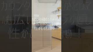 IKEAキッチンカウンター標準装備。2022年5月上旬完成予定、山梨おしゃれ賃貸・グレイスロイヤルM203号室。