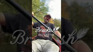 Brackish Backwater- Beauty is in the Details