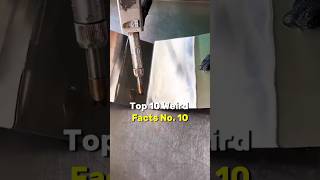 Top 10 Weird Facts #curiosity #facts #factfile #intresting #shorts