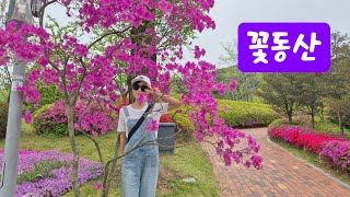예쁜꽃들의 천국 순천만 국가정원 영이와 곤이의 여행이야기