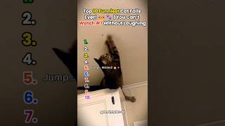 Top 10 Funniest Cat Fails That Will Make You Cry Laughing! 😹💥  #FunnyCats #CatFails #TryNotToLaugh