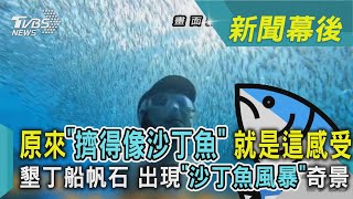 原來「擠得像沙丁魚」 就是這感受 墾丁船帆石 出現「沙丁魚風暴」奇景｜TVBS新聞