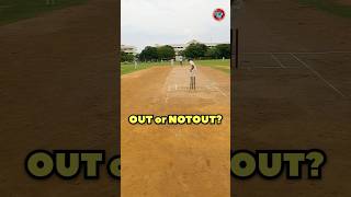Out or Notout? ❌ #cricket #cricketaddict #trending #viral #cricketshorts #reels #notout #matchday