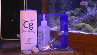 ecotech coral glue